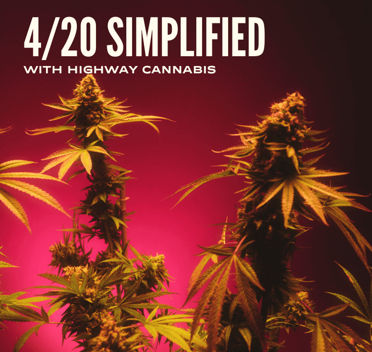 An image of growing cannabis flower against a dark pink backdrop, with the words 