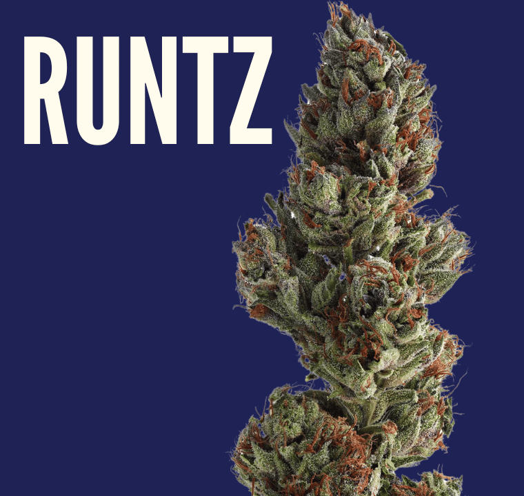A navy blue background with a nug shot of the runtz strain from Highway Cannabis Dispensary in marina Del Rey. The word 
